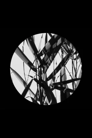 Постер: In the Footsteps of Li Yuan-chia & Delia Derbyshire