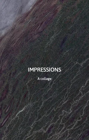 Постер: Impressions