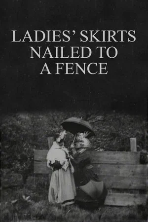 Постер: Ladies' Skirts Nailed to a Fence