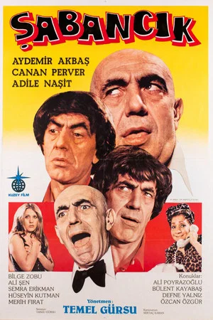 Постер: Şabancık