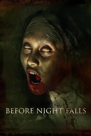Постер: Before Night Falls