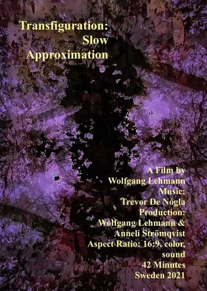 Постер: Transfiguration: Slow Approximation