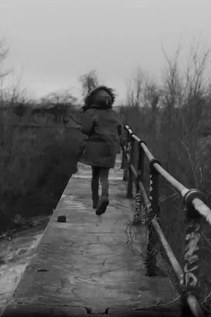 Постер: To Love the Void