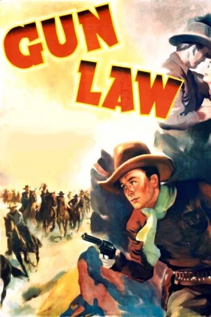 Постер: Gun Law