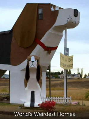 Постер: World's Weirdest Homes