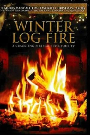 Постер: Winter Log Fire