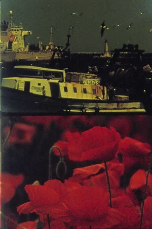 Постер: Poppies and Sailboats