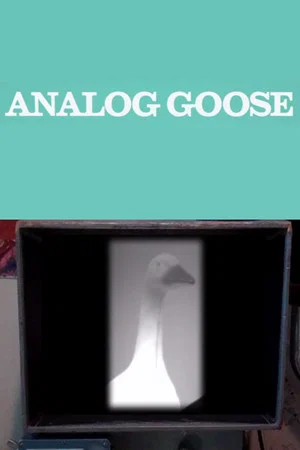 Постер: Analog Goose