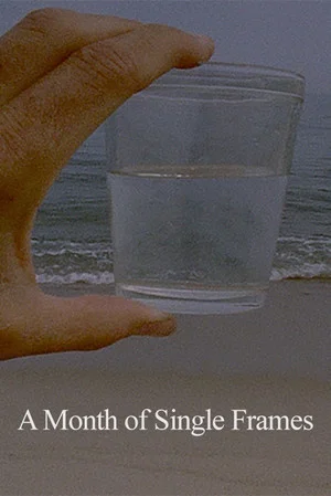 Постер: A Month of Single Frames