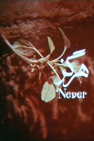 Постер: Never