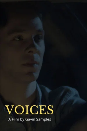 Постер: Voices