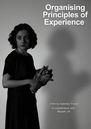 Постер: Organising Principles of Experience