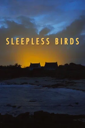 Постер: Sleepless Birds