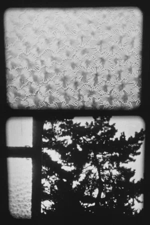 Постер: XVI/84 Fenster III