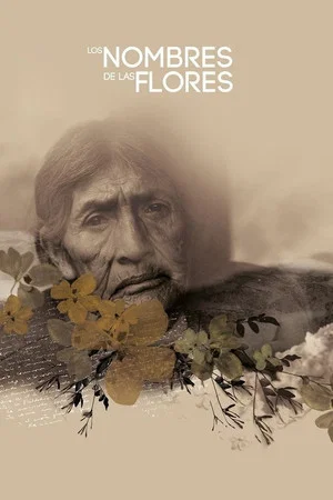 Постер: The Names of the Flowers