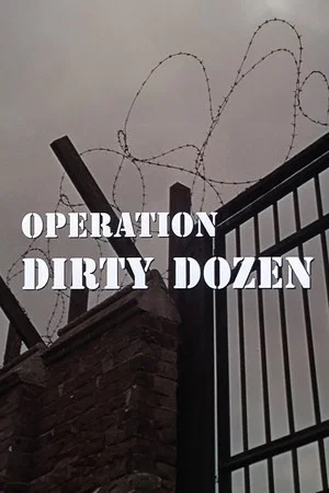 Постер: Operation Dirty Dozen