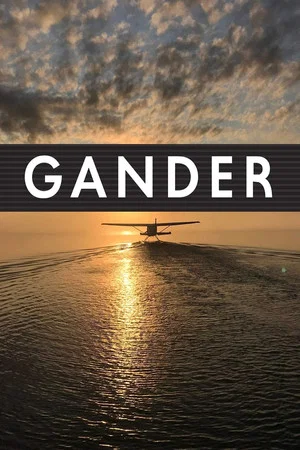 Постер: Gander International: The Airport in the Middle of Nowhere