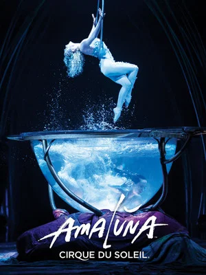 Постер: Cirque du Soleil: Amaluna