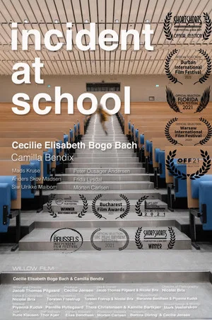 Постер: Incident at School