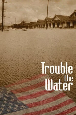 Постер: Trouble the Water