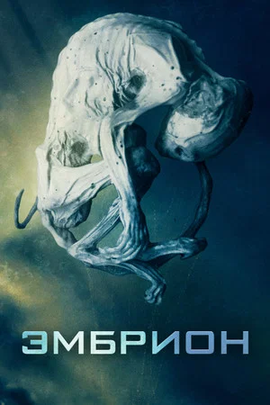 Постер: Эмбрион