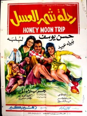 Постер: The Honeymoon Trip