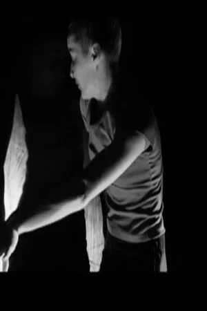 Постер: MAZY-systems of transitions
