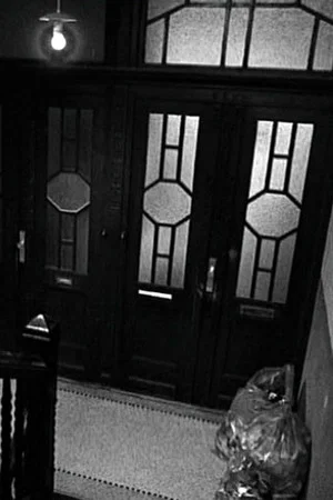 Постер: The Neighbor