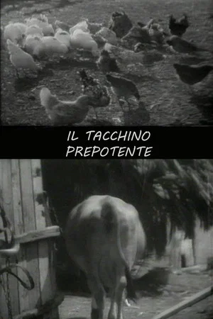 Постер: Il tacchino prepotente