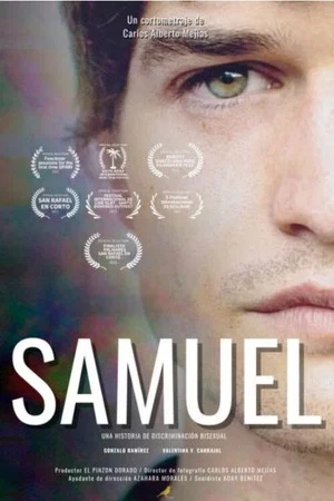 Постер: Samuel
