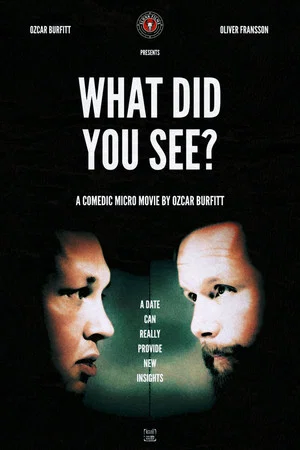 Постер: What Did You See?