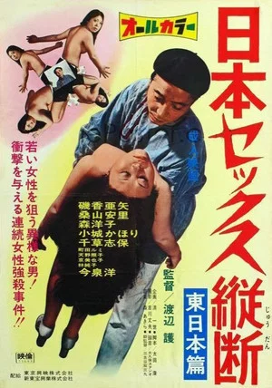 Постер: Sex Tour of Japan: Eastern Part
