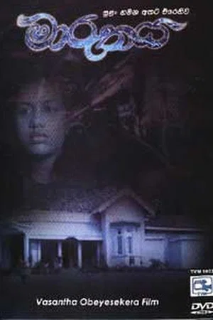 Постер: The Storm