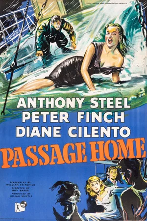 Постер: Passage Home