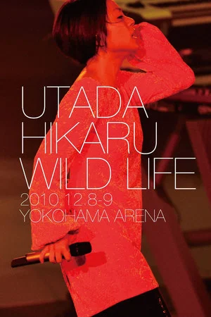 Постер: 仓木麻衣 WILD LIFE - 幕后花絮
