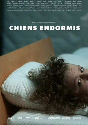 Постер: Chiens endormis