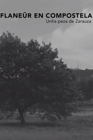 Постер: Flanêur en Compostela
