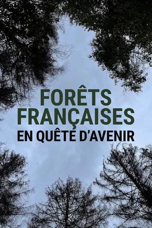 Постер: Forêts françaises en quête d'avenir