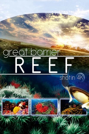 Постер: Great Barrier Reef 4K