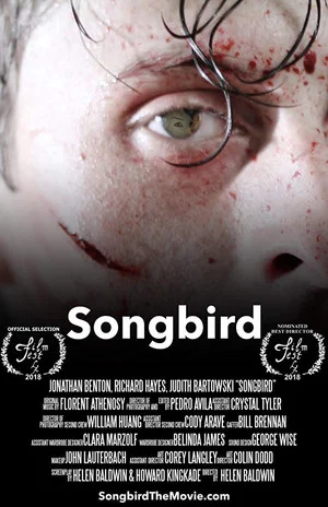 Постер: Songbird