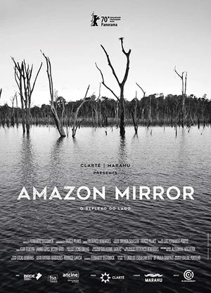 Постер: Amazon Mirror