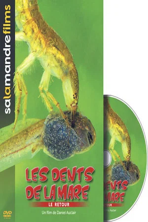 Постер: Les dents de la mare