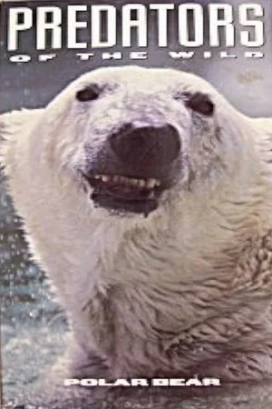 Постер: Predators of the Wild: Polar Bear