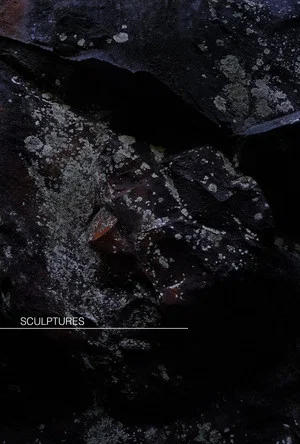 Постер: Sculptures