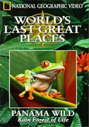 Постер: Panama Wild: Rain Forest of Life