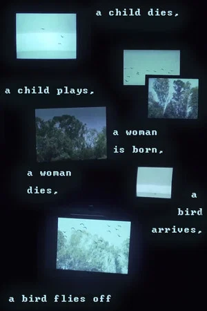 Постер: A child dies, a child plays, a woman is born, a woman dies, a bird arrives, a bird flies off