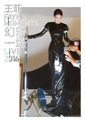 Постер: Faye's Moments Live 2016