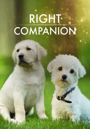 Постер: The Right Companion