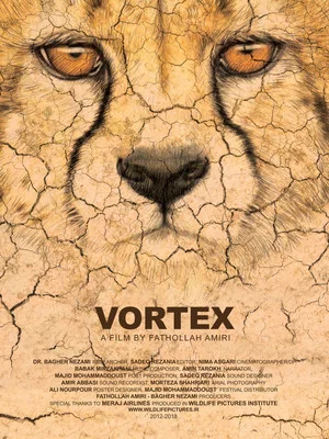 Постер: Vortex