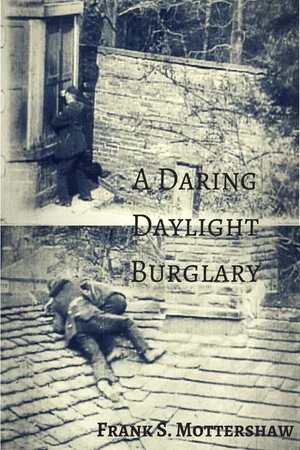 Постер: A Daring Daylight Burglary